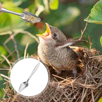 Лъжичка за хранене на птици от неръждаема стомана-Лъжичка за хранене на папагали, Леки Ръчни лъжици за хранене на папагали, Какаду
