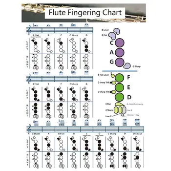Диаграма акорди за флейта, модул за Обучение плакат с акорди, Ориентир за поставяне на пръста, Музикален стенен фигура за учители и ученици